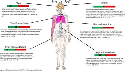 Anesthesia and Cancer, Friend or Foe? A Narrative Review